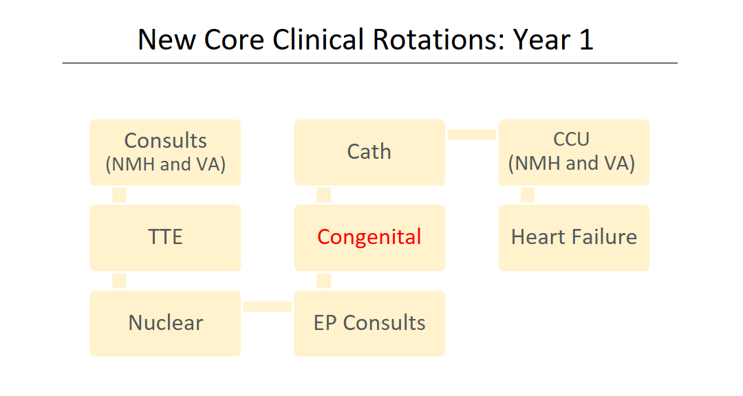 Year 1 Rotations
