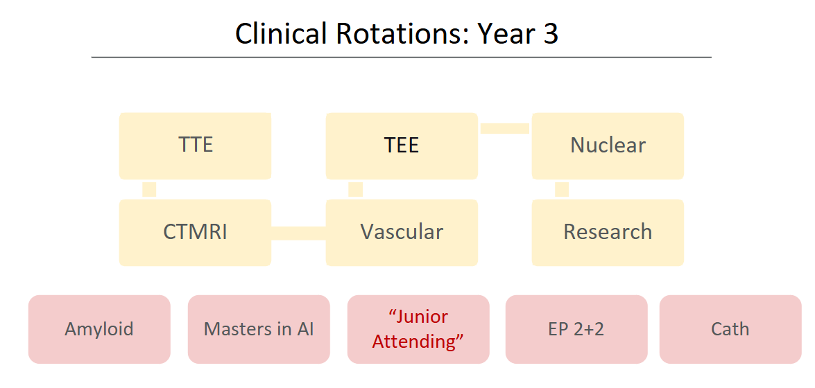 Year 3 Rotations