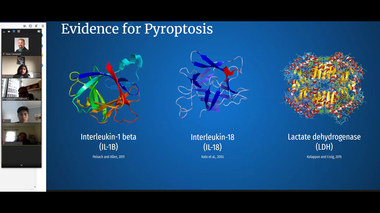 Zoom screenshot showing a slide on Presentation Day titled "Evidence for Pyroptosis"