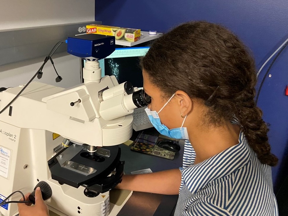 An intern looks into a microscope