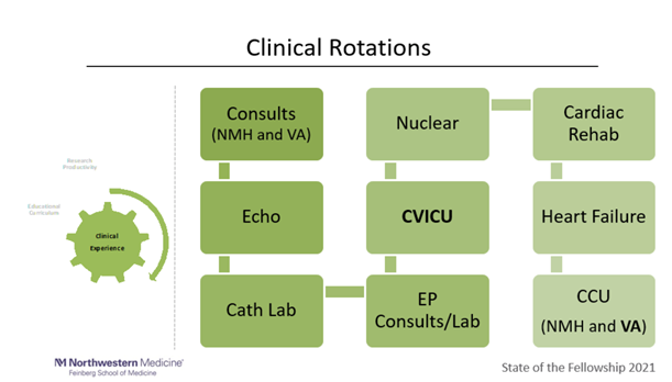 clinical-rotations-graph.png
